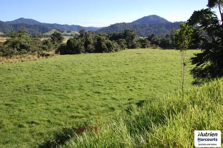Sixth view of Homely rural property listing, 0 Sammut Road, Japoonvale QLD 4856