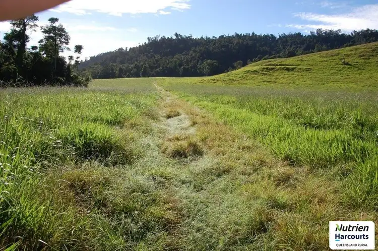 Seventh view of Homely rural property listing, 0 Sammut Road, Japoonvale QLD 4856