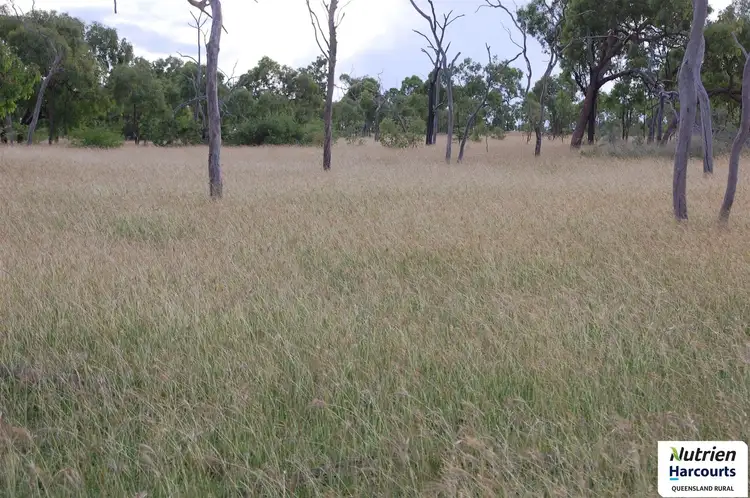 Second view of Homely rural property listing, Jakey's - Belyando Road, Seventy Mile QLD 4820