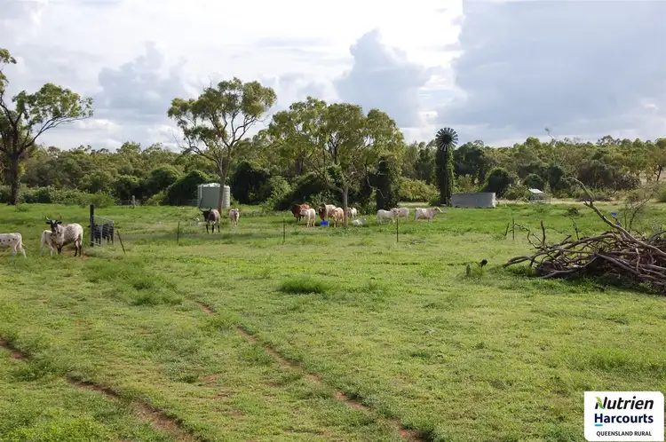 Third view of Homely rural property listing, Jakey's - Belyando Road, Seventy Mile QLD 4820