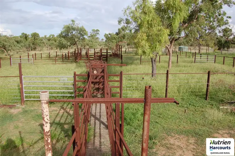 Fourth view of Homely rural property listing, Jakey's - Belyando Road, Seventy Mile QLD 4820