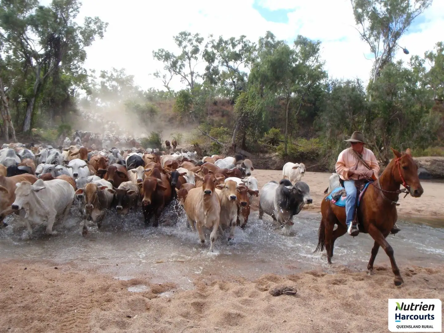 Main view of Homely rural property listing, 0 Springfield Station, Mount Surprise QLD 4871