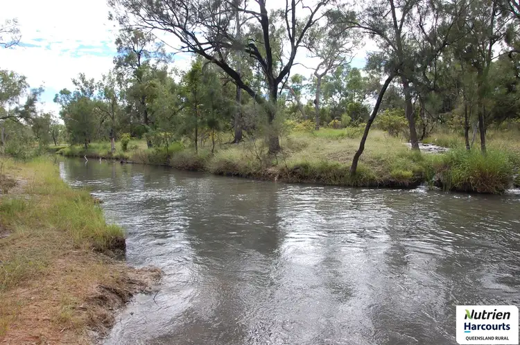 Seventh view of Homely rural property listing, 0 Springfield Station, Mount Surprise QLD 4871