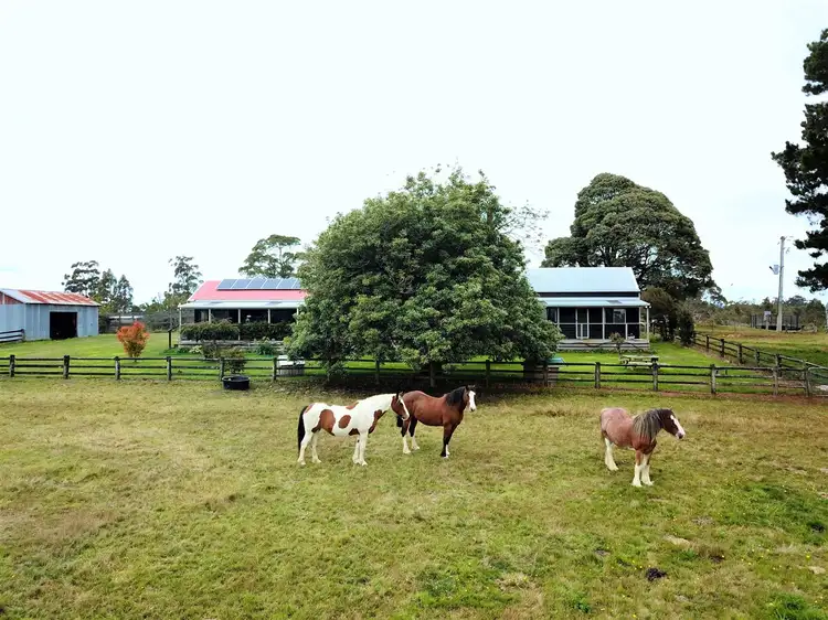 Second view of Homely rural property listing, 410 East Yolla Road, Yolla TAS 7325