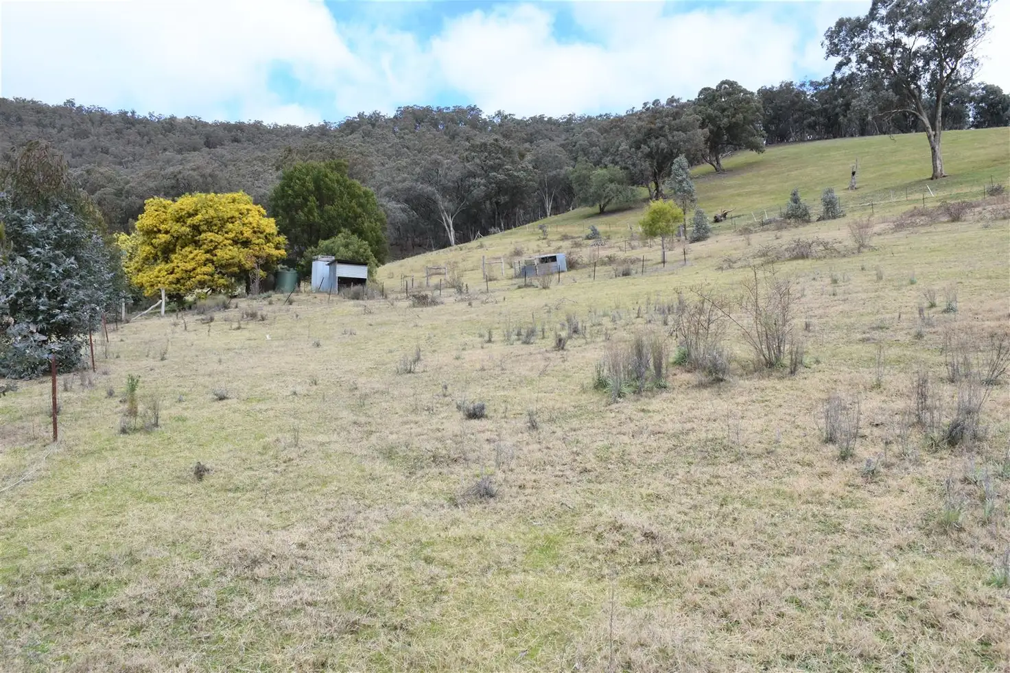 Main view of Homely rural property listing, 1381 Cassilis Road, Cassilis VIC 3898