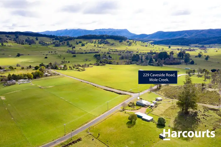 Main view of Homely house listing, 229 Caveside Road, Mole Creek TAS 7304