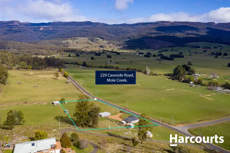 Third view of Homely house listing, 229 Caveside Road, Mole Creek TAS 7304