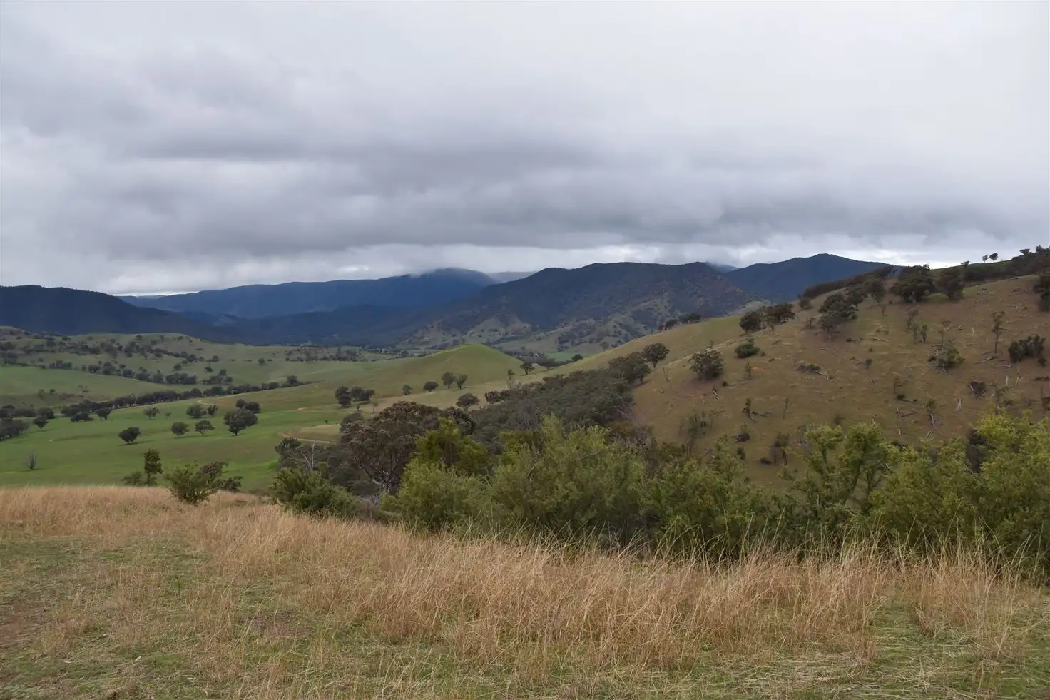 Main view of Homely rural property listing, 570 (CA22F) Bald Hills Creek Road, Swifts Creek VIC 3896