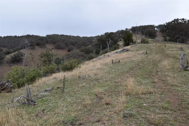 Second view of Homely rural property listing, 570 (CA22F) Bald Hills Creek Road, Swifts Creek VIC 3896