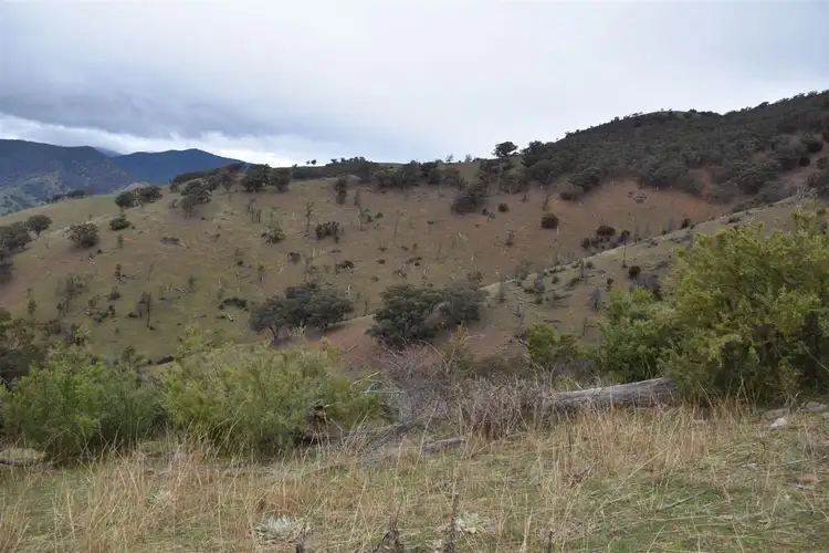 Third view of Homely rural property listing, 570 (CA22F) Bald Hills Creek Road, Swifts Creek VIC 3896