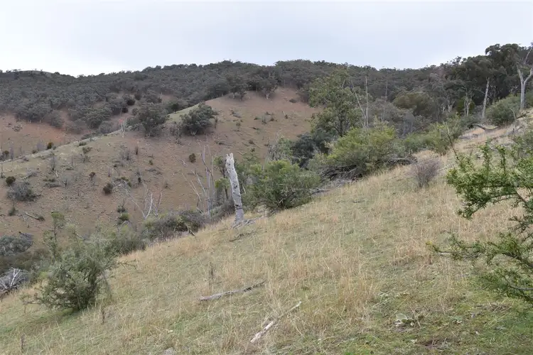 Fourth view of Homely rural property listing, 570 (CA22F) Bald Hills Creek Road, Swifts Creek VIC 3896