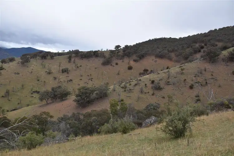 Fifth view of Homely rural property listing, 570 (CA22F) Bald Hills Creek Road, Swifts Creek VIC 3896