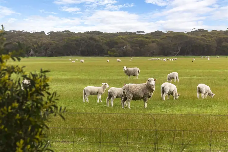 Sixth view of Homely rural property listing, 714 Barretts Road, Haines SA 5223