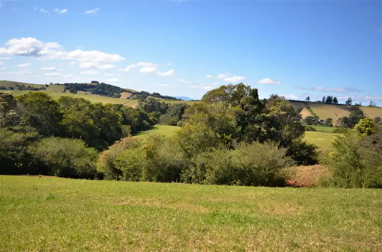 Third view of Homely rural property listing, 3500 Wingham Road, Comboyne NSW 2429
