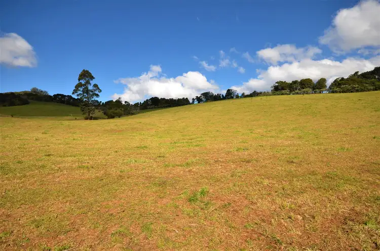 Fourth view of Homely rural property listing, 3500 Wingham Road, Comboyne NSW 2429