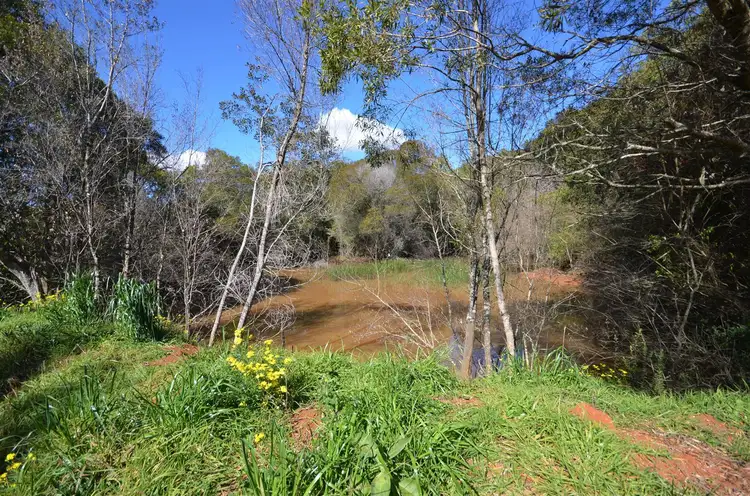 Sixth view of Homely rural property listing, 3500 Wingham Road, Comboyne NSW 2429