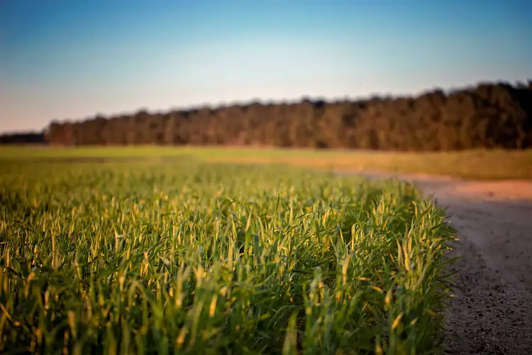 Third view of Homely rural property listing, Lot 835 Springdale Rd, Jerdacuttup WA 6346