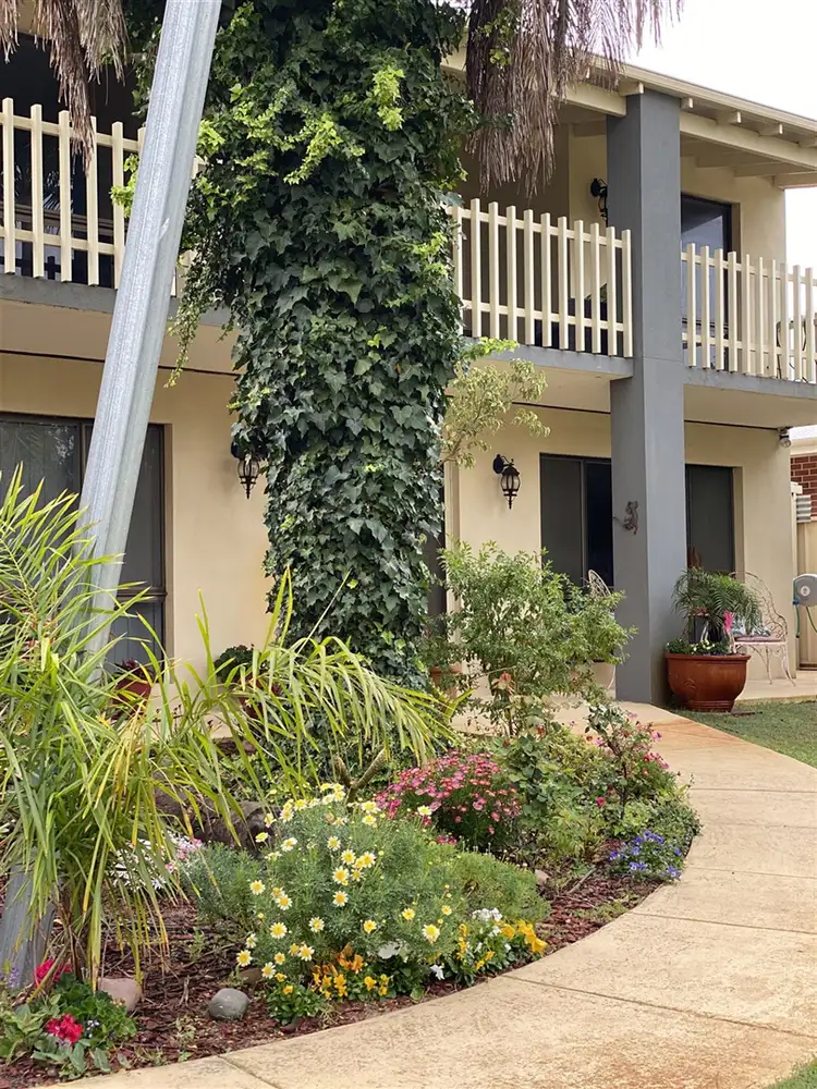 19 Birmingham Way, Pinjarra WA 6208
