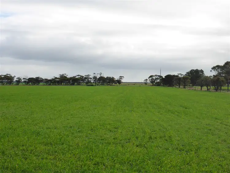 Fifth view of Homely rural property listing, Address available on request