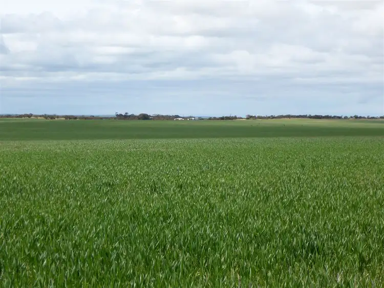 Sixth view of Homely rural property listing, Address available on request