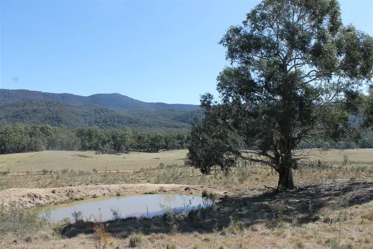 553 Hereford Hall Road, Braidwood NSW 2622
