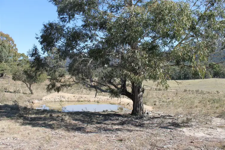 Third view of Homely rural property listing, 553 Hereford Hall Road, Braidwood NSW 2622