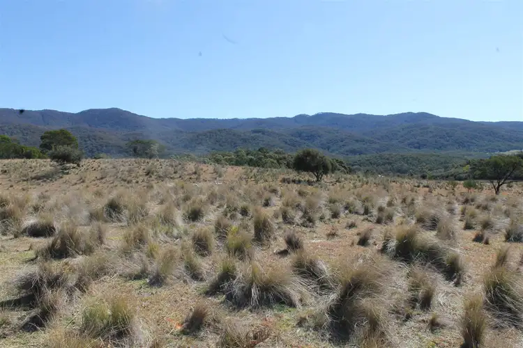 Fifth view of Homely rural property listing, 553 Hereford Hall Road, Braidwood NSW 2622