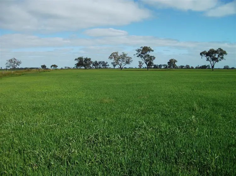 Main view of Homely rural property listing, 800 Kenny Road, Kerang VIC 3579