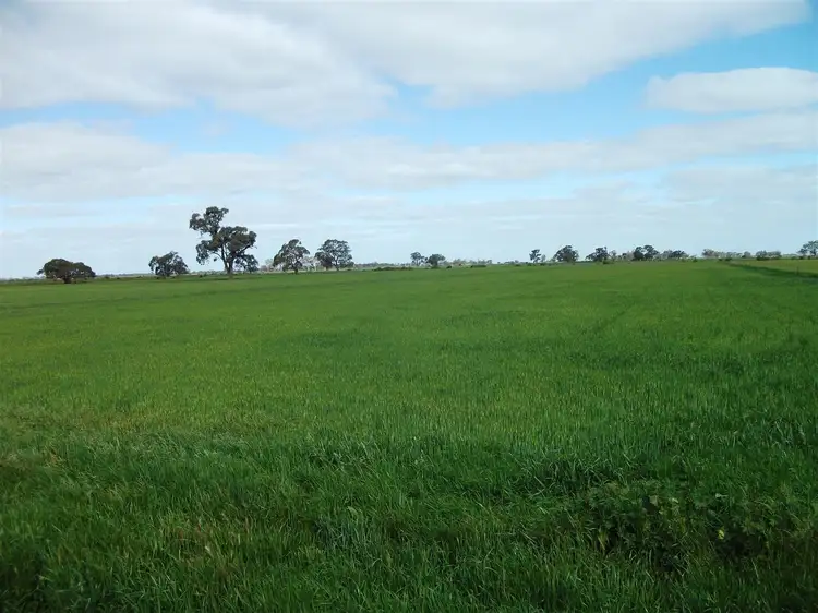 Sixth view of Homely rural property listing, 800 Kenny Road, Kerang VIC 3579
