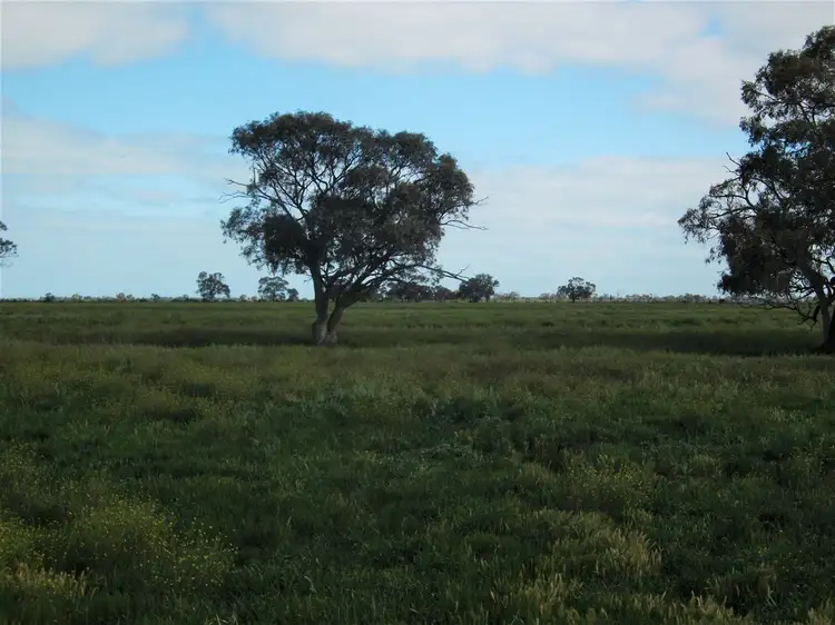 Seventh view of Homely rural property listing, 800 Kenny Road, Kerang VIC 3579