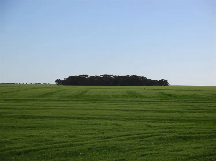 Main view of Homely rural property listing, Address available on request