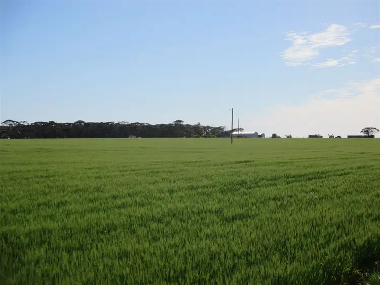 Third view of Homely rural property listing, Address available on request