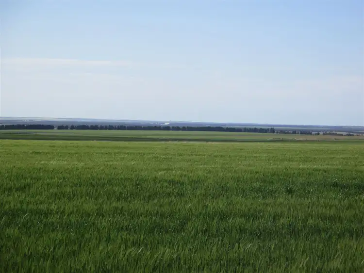 Sixth view of Homely rural property listing, Address available on request