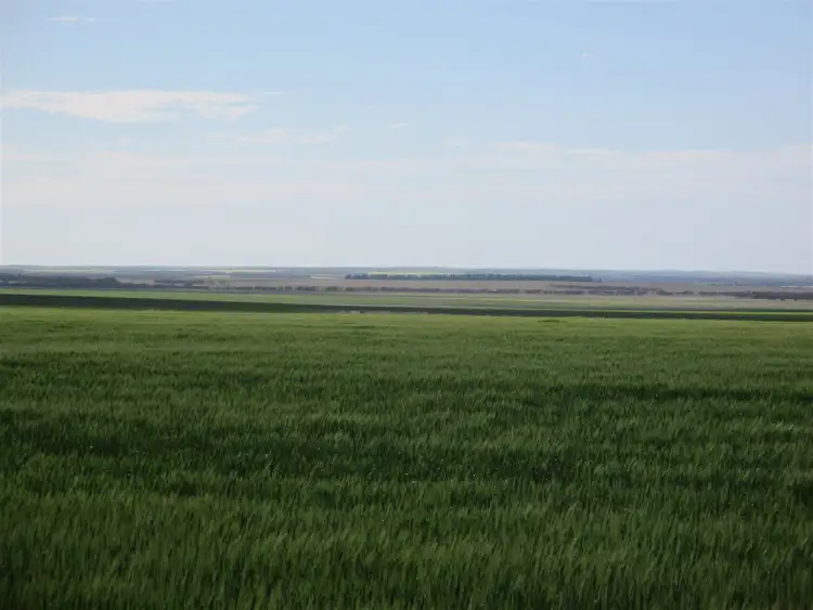 Seventh view of Homely rural property listing, Address available on request