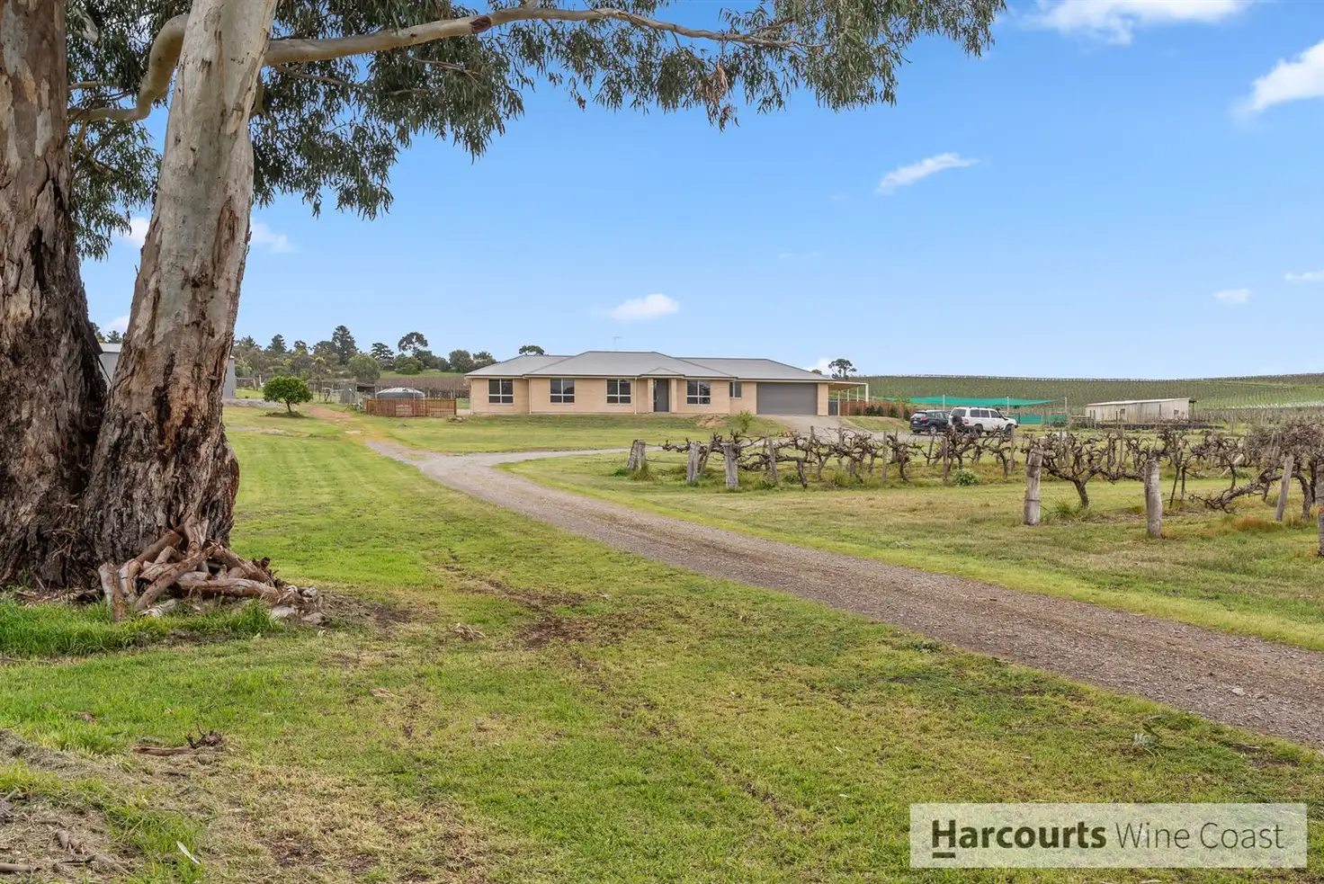 Main view of Homely rural property listing, 1 Whitings Road, Mclaren Flat SA 5171