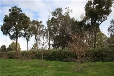 Fourth view of Homely land listing, Lot A, 84 RIVER RD, Bridgetown WA 6255