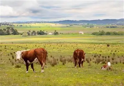 257 Pomeroy Road, Goulburn NSW 2580