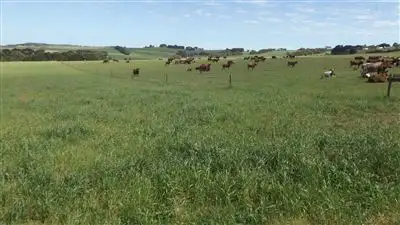 Sixth view of Homely rural property listing, 560 Princetown Road, Simpson VIC 3266