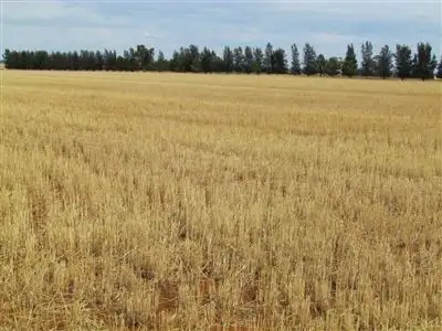 Fourth view of Homely rural property listing, Address available on request