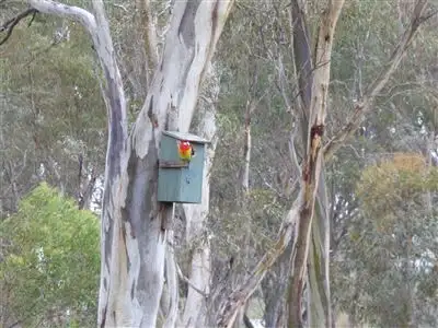 Sixth view of Homely house listing, 233 Old Hamilton Road, Horsham VIC 3400