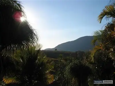 Sixth view of Homely rural property listing, 2310 Running Creek Road, Running Creek QLD 4287
