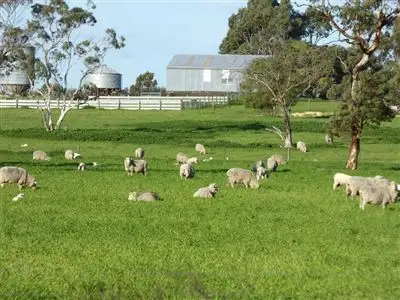 Fourth view of Homely rural property listing, "Apoinga"/2473 Riddoch Highway, Keith SA 5267