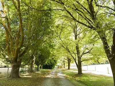 2100 Meeniyan Mirboo North Road, Mirboo North VIC 3871
