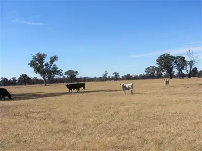 Third view of Homely rural property listing, 0 Teazes Road, Euroa VIC 3666