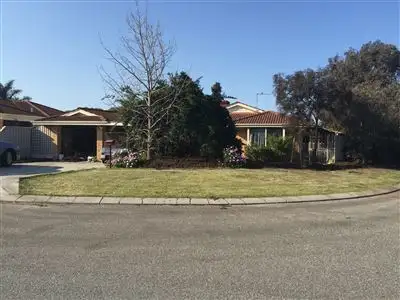 Main view of Homely house listing, 42 Frangipani Loop, Marangaroo WA 6064