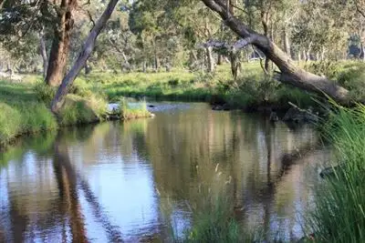 Sixth view of Homely rural property listing, "Echo"/1465 Ten Mile Road, Deepwater NSW 2371