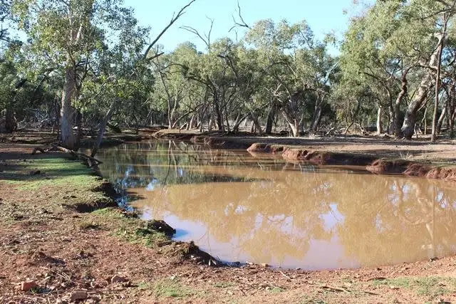 * Karoo, Cobar NSW 2835