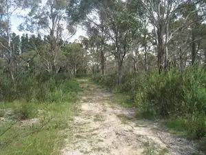 Fourth view of Homely rural property listing, Lot 4 Cooma Road, Braidwood NSW 2622