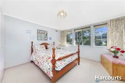 Fifth view of Homely house listing, 37 Mcinnes Street, Weston ACT 2911