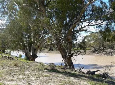 Fourth view of Homely rural property listing, Lot 86 DP753570 Macquarie Street, Bourke NSW 2840